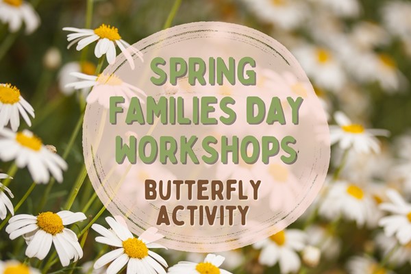 Spring Families Day Workshops - Butterfly Activity
