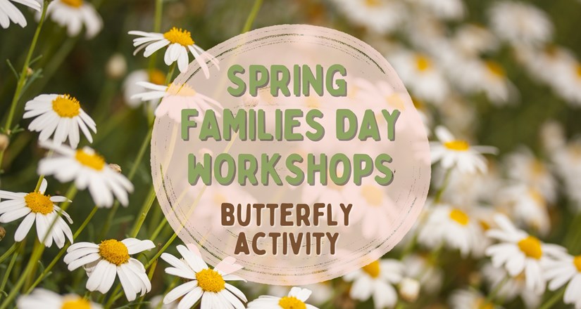 Spring Families Day Workshops - Butterfly Activity