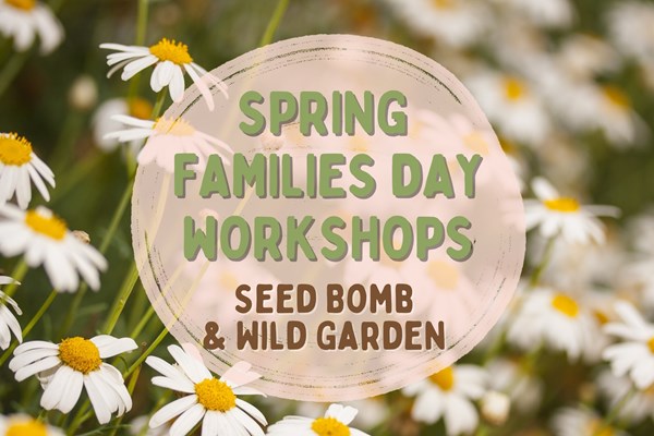 Spring Families Day Workshops – Seed Bomb & Wild Garden Making